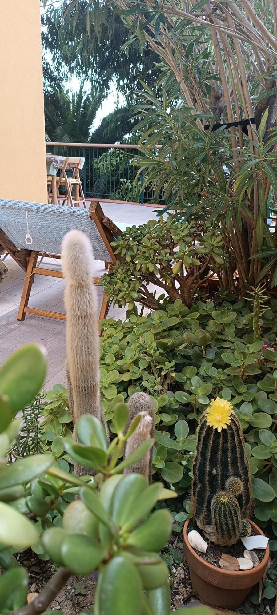 Casa Di Claude Con Posto Auto Apartment Finale Ligure Bagian luar foto